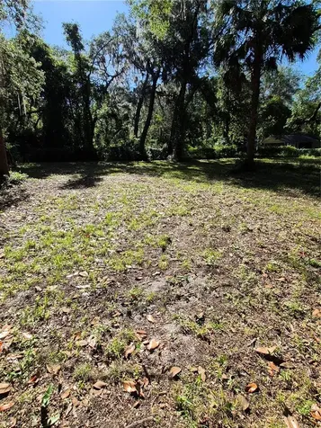 16615 NE 45th Court Citra FL 32113