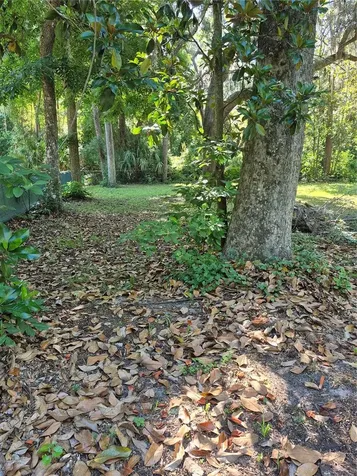 16615 NE 45th Court Citra FL 32113
