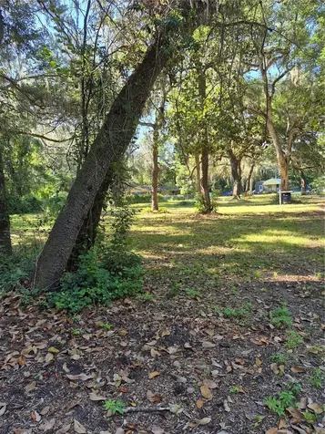 16615 NE 45th Court Citra FL 32113