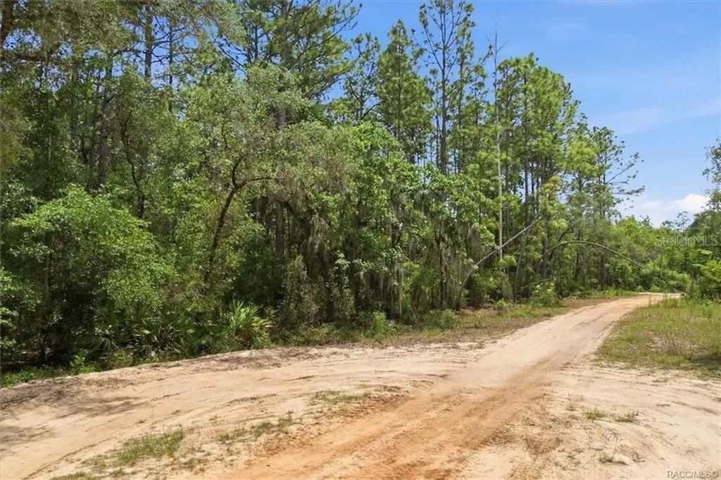 5267 N Lace Point Dunnellon FL 34433