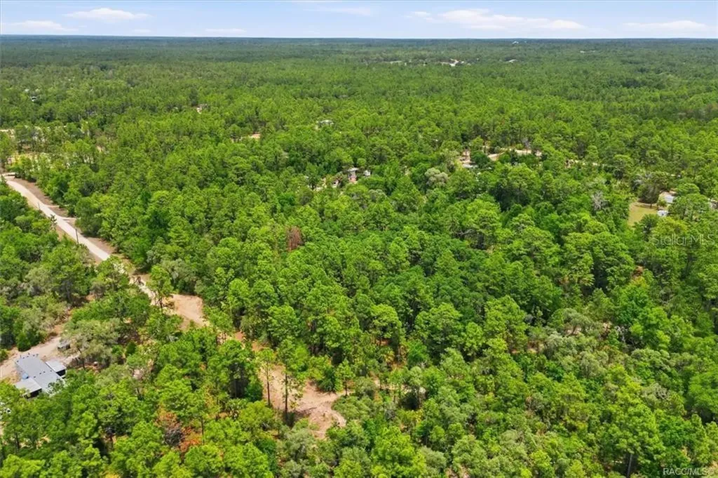 5267 N Lace Point Dunnellon FL 34433