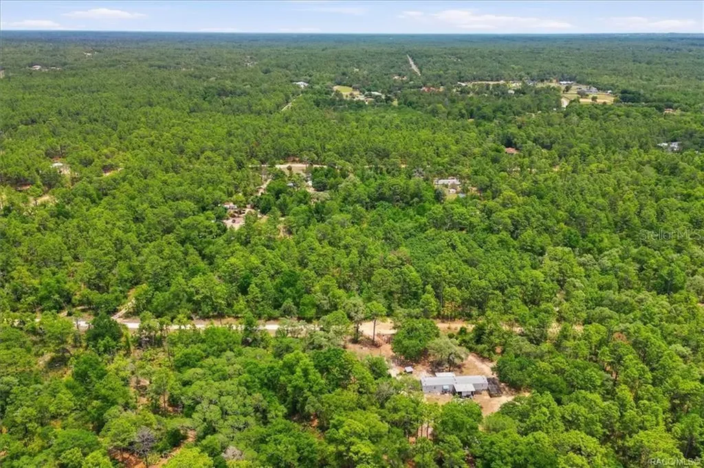 5267 N Lace Point Dunnellon FL 34433