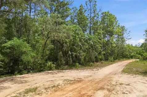 5267 N Lace Point Dunnellon FL 34433