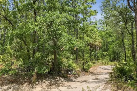 5267 N Lace Point Dunnellon FL 34433