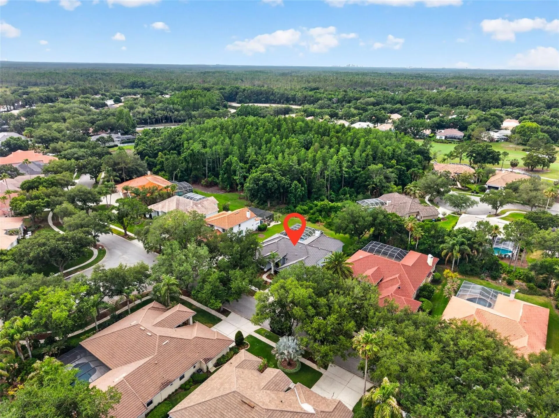 17820 Osprey Pointe Place Tampa FL 33647
