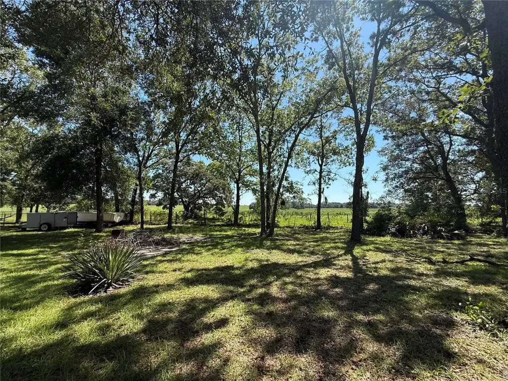 6555 SW 165th Court Ocala FL 34481