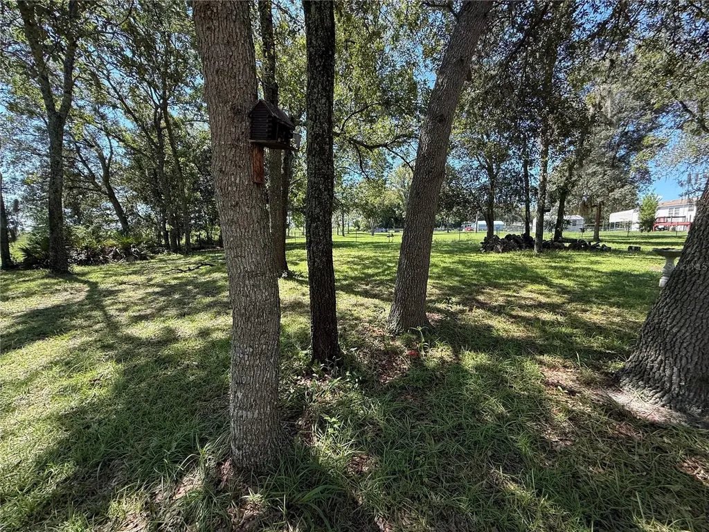 6555 SW 165th Court Ocala FL 34481