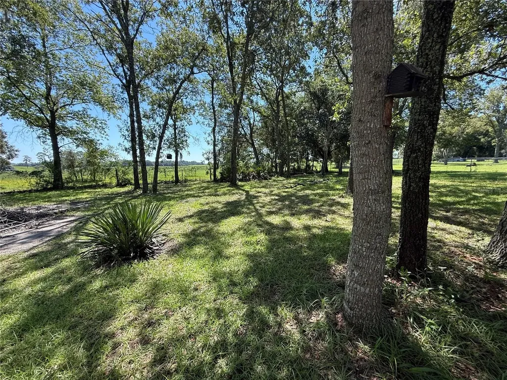 6555 SW 165th Court Ocala FL 34481