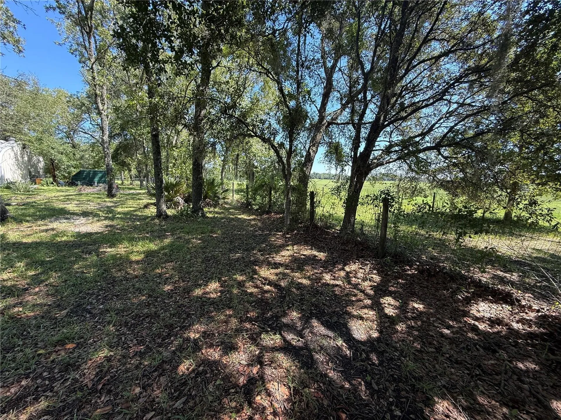 6555 SW 165th Court Ocala FL 34481