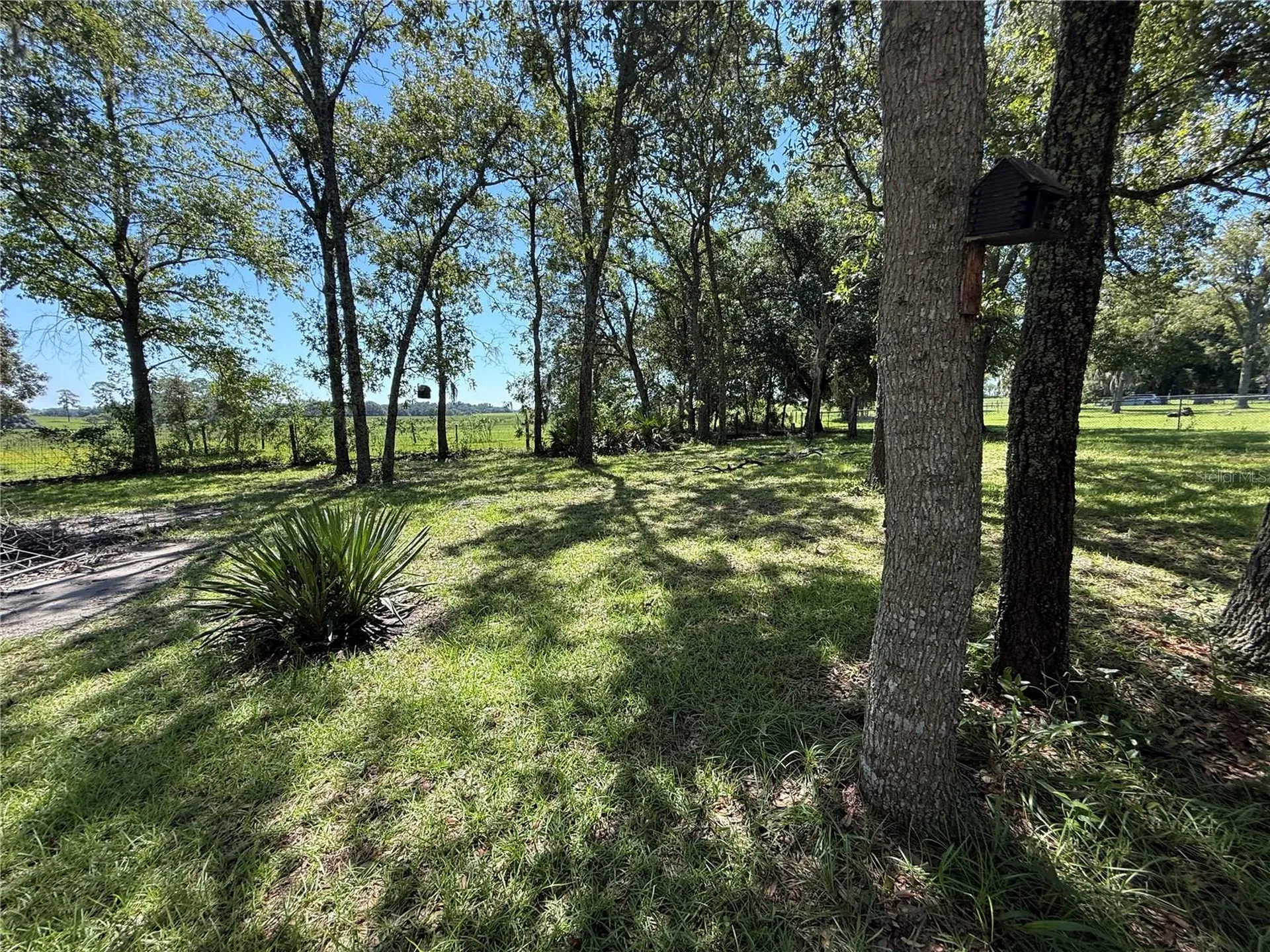 6555 SW 165th Court Ocala FL 34481