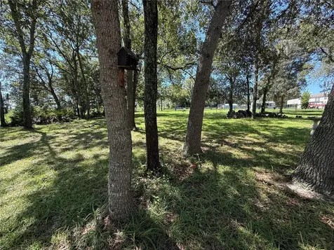 6555 SW 165th Court Ocala FL 34481