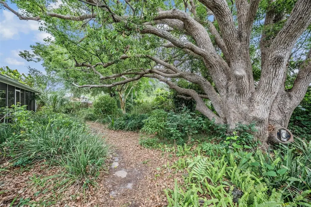 1951 Jeffords Street Clearwater FL 33764