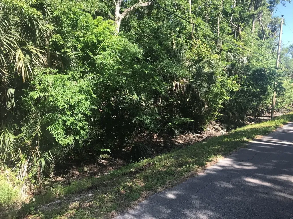 Elizabeth Street New Smyrna Beach FL 32168