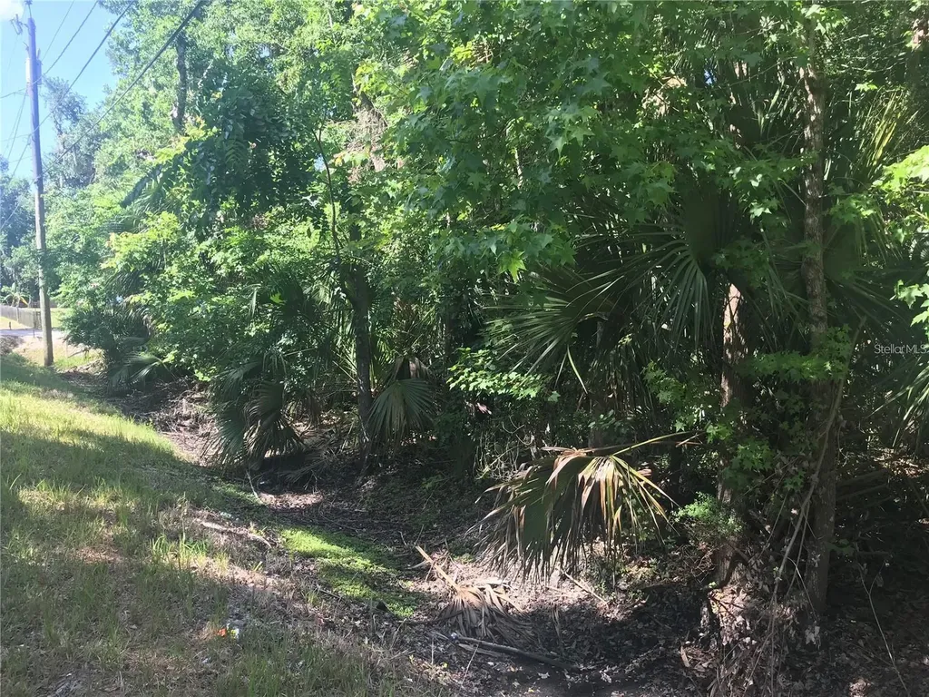 Elizabeth Street New Smyrna Beach FL 32168