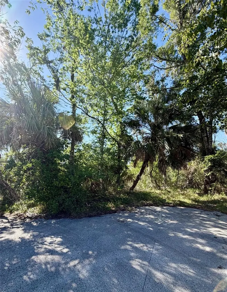 10900 W Larchwood Street Homosassa FL 34448