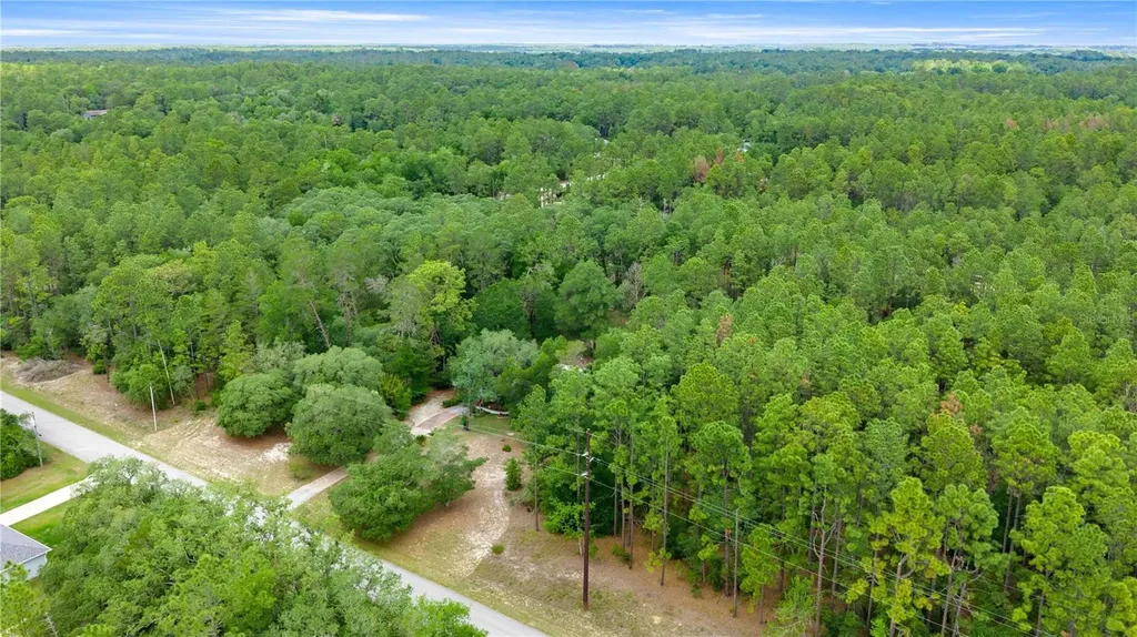20349 SW 59th Lane Dunnellon FL 34431