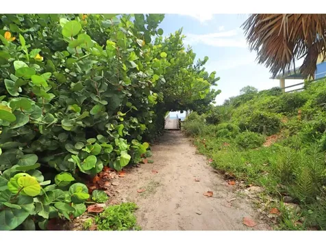 906 E 11th Avenue New Smyrna Beach FL 32169