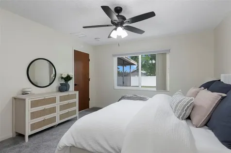 1479 Indiana Avenue Palm Harbor FL 34683