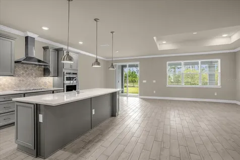 17315 Million Lakes Court Clermont FL 34714