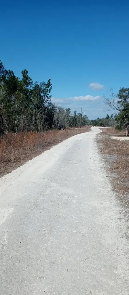00 NE 151st Avenue Williston FL 32696