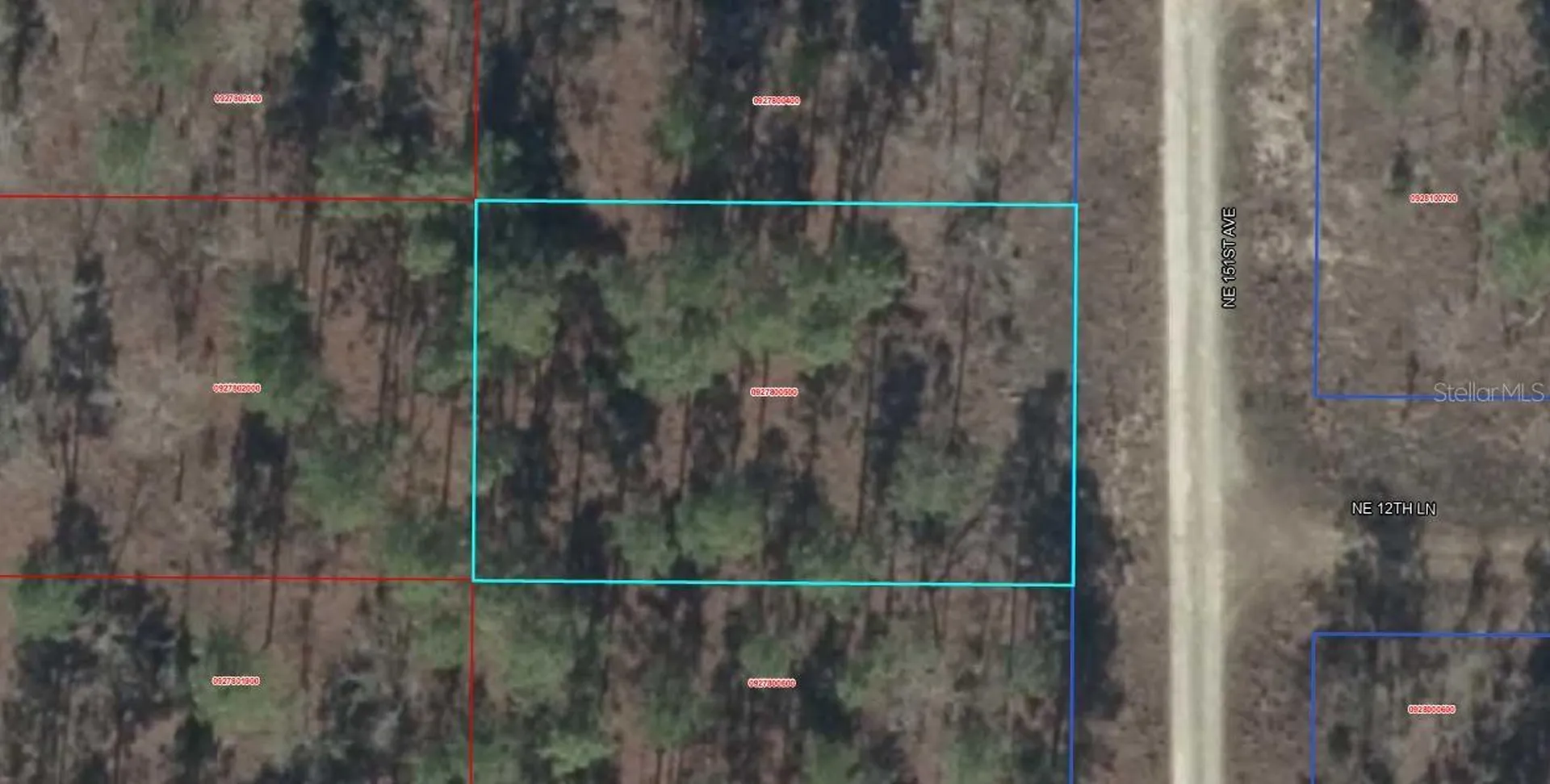 00 NE 151st Avenue Williston FL 32696