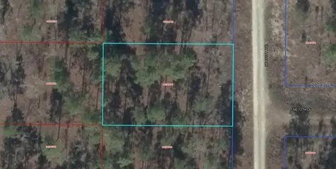 00 NE 151st Avenue Williston FL 32696