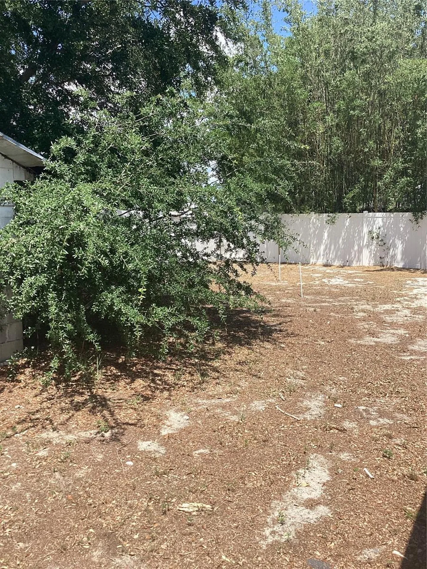 3909 W Palmetto Street Tampa FL 33607