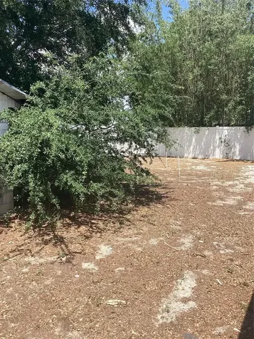 3909 W Palmetto Street Tampa FL 33607