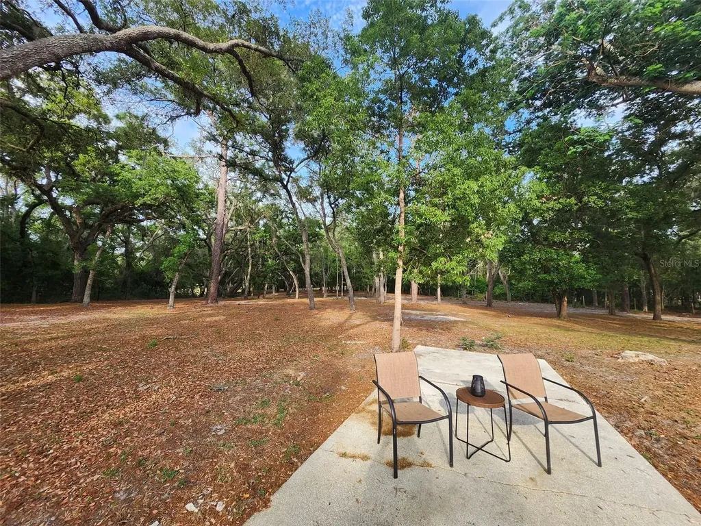 15614 Renee Lane Hudson FL 34669
