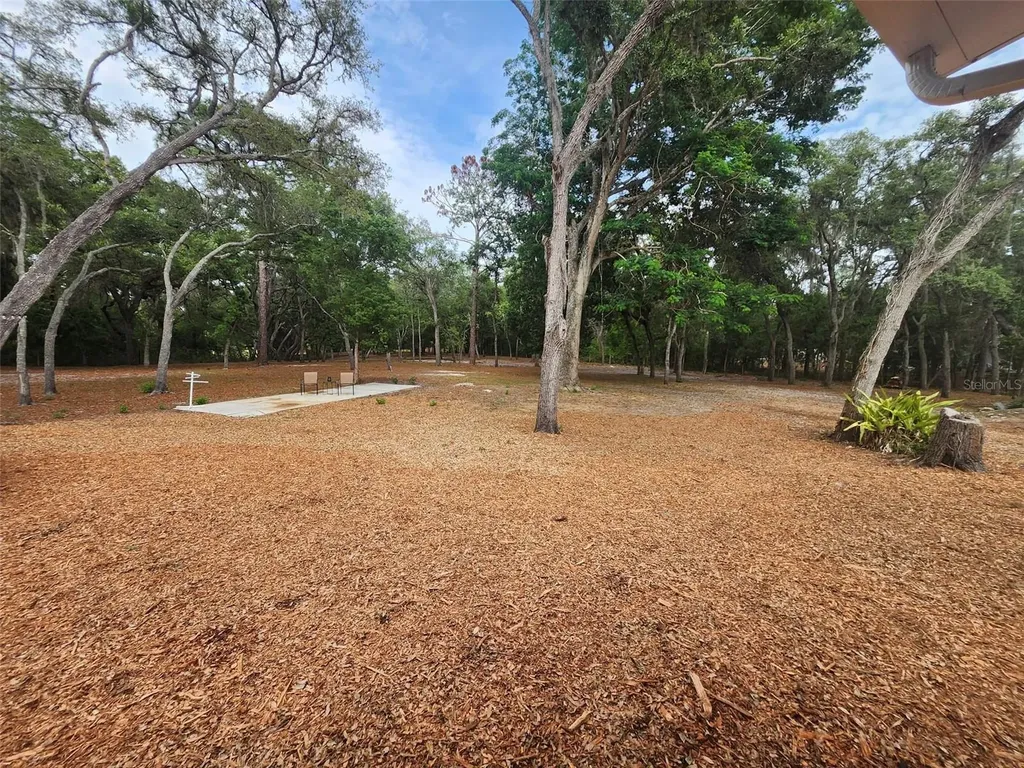 15614 Renee Lane Hudson FL 34669