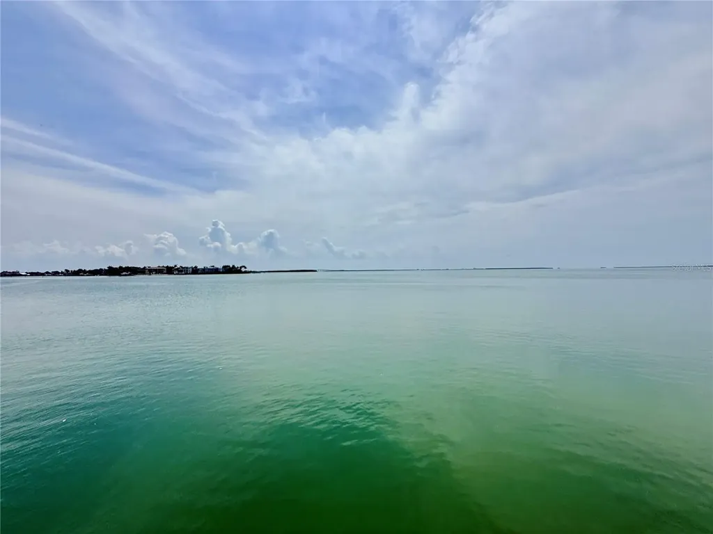 6219 Palma Del Mar Boulevard S St Petersburg FL 33715