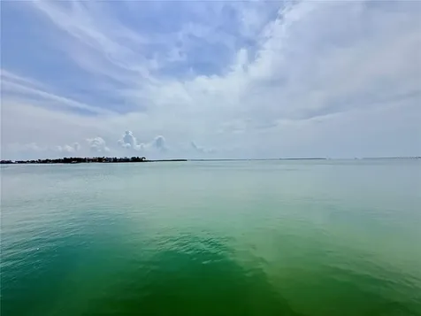 6219 Palma Del Mar Boulevard S St Petersburg FL 33715