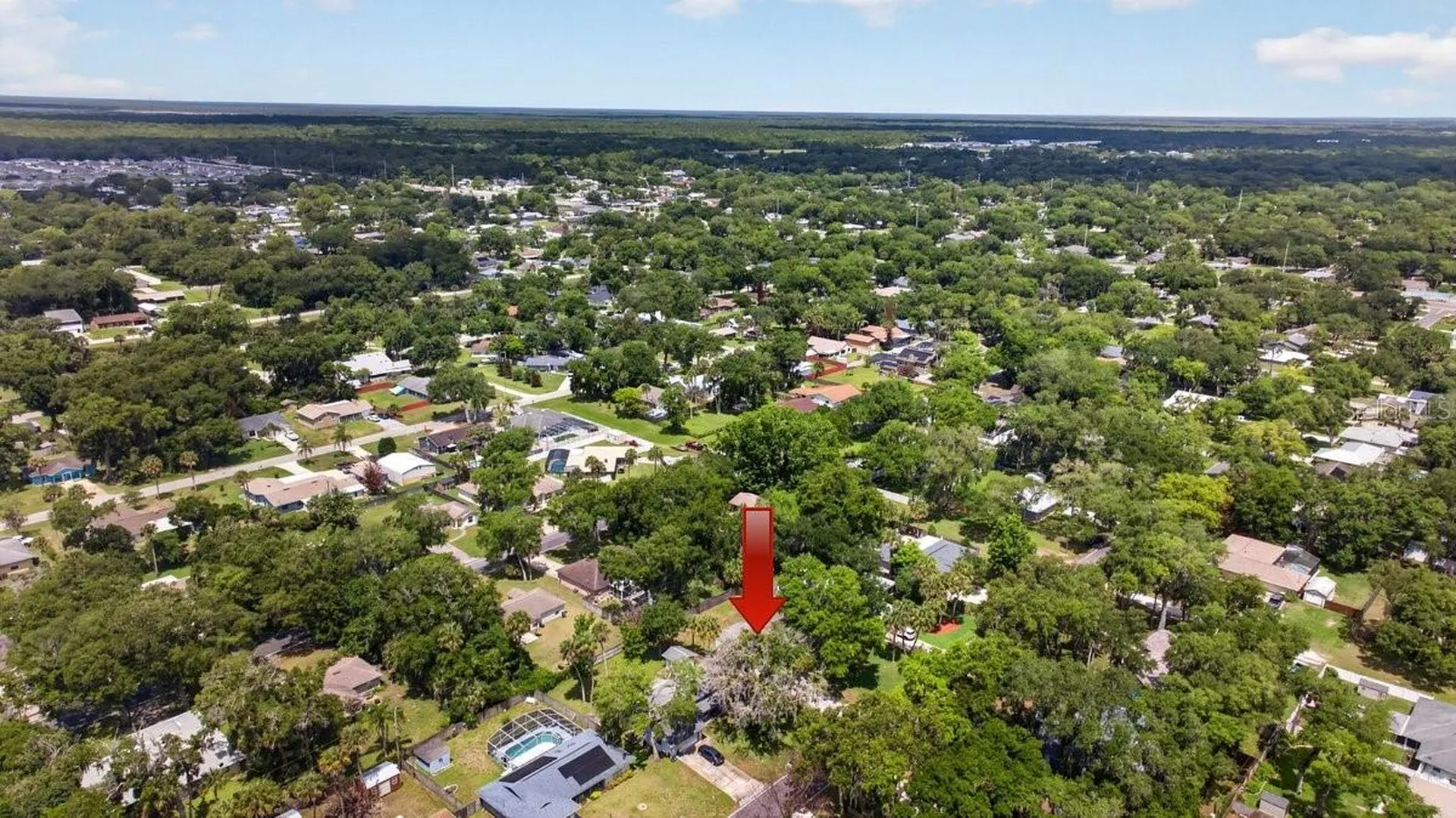 2012 Mango Tree Drive Edgewater FL 32141