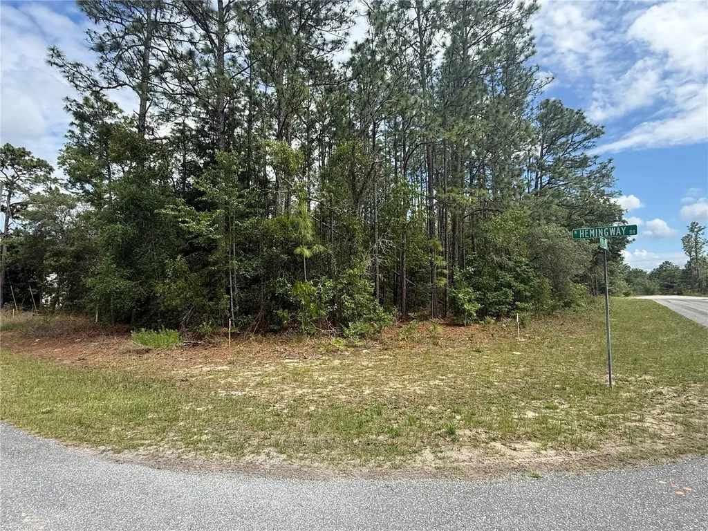 7103 N Hemmingway Drive Dunnellon FL 34434
