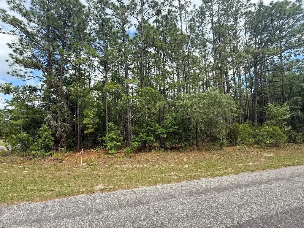 7103 N Hemmingway Drive Dunnellon FL 34434