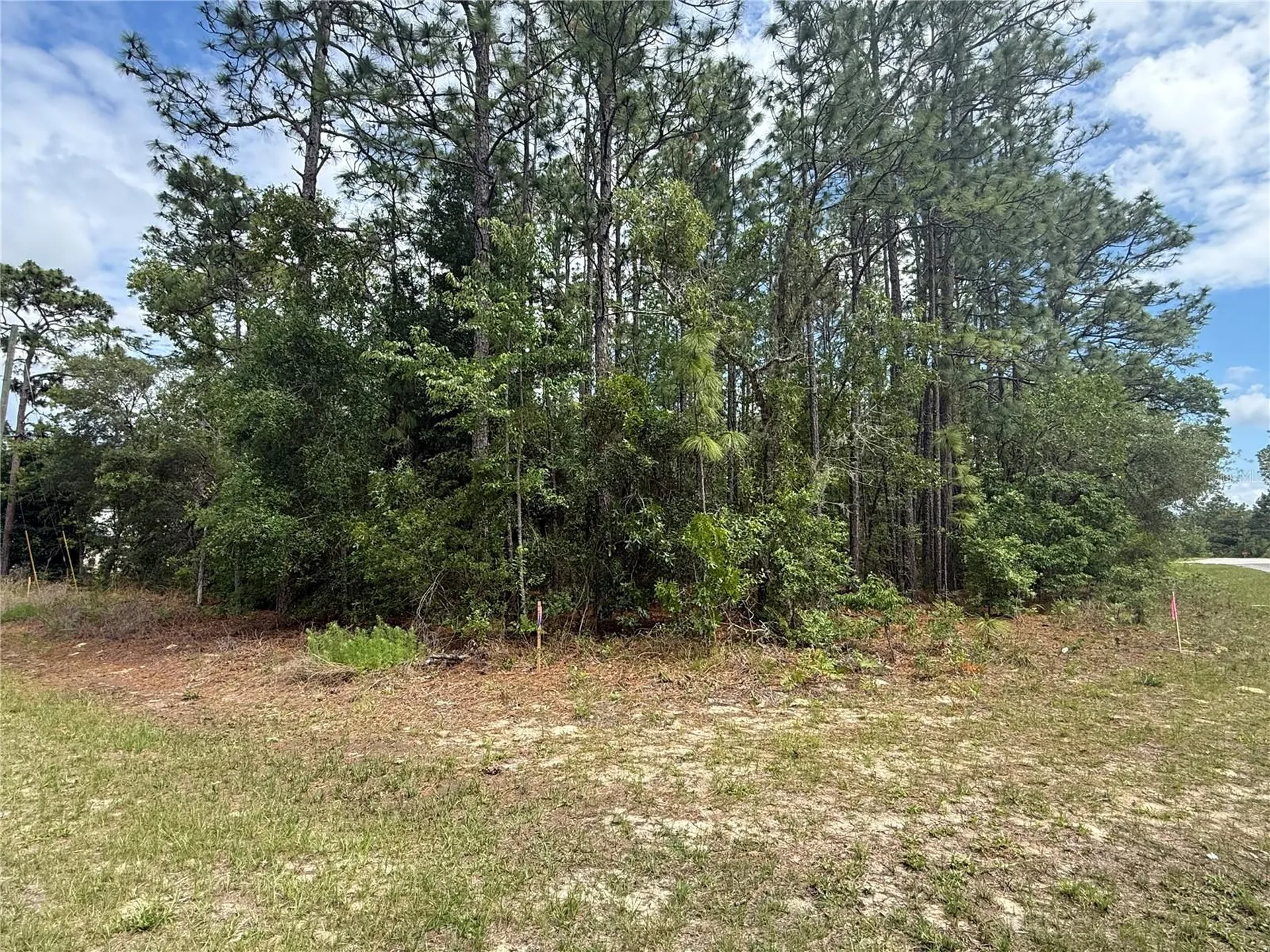 7103 N Hemmingway Drive Dunnellon FL 34434