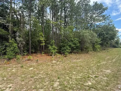 7103 N Hemmingway Drive Dunnellon FL 34434