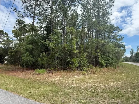 7103 N Hemmingway Drive Dunnellon FL 34434