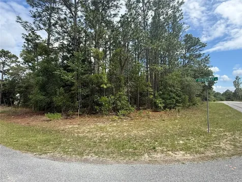 7103 N Hemmingway Drive Dunnellon FL 34434