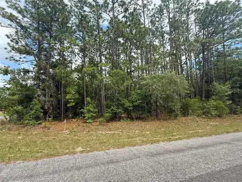 7103 N Hemmingway Drive Dunnellon FL 34434