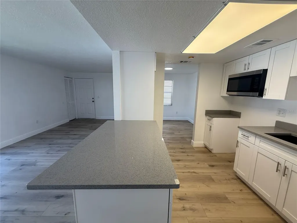 133 Sabal Court Oldsmar FL 34677