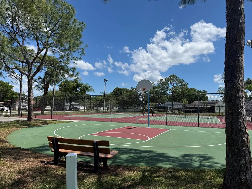 133 Sabal Court Oldsmar FL 34677