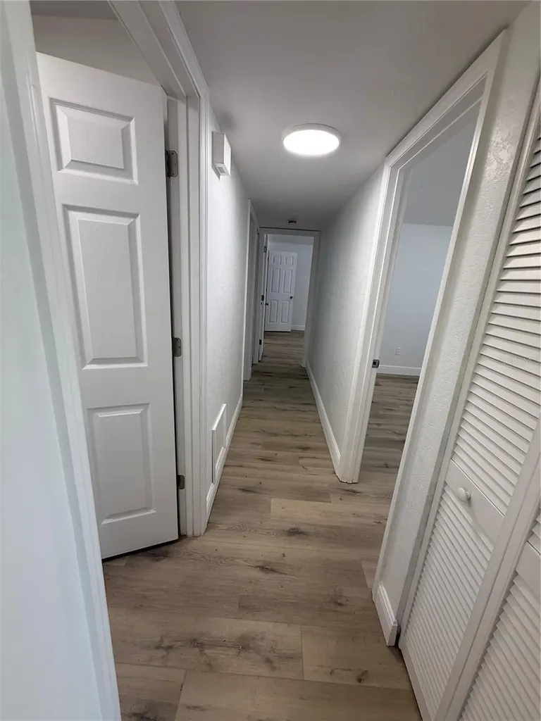 133 Sabal Court Oldsmar FL 34677