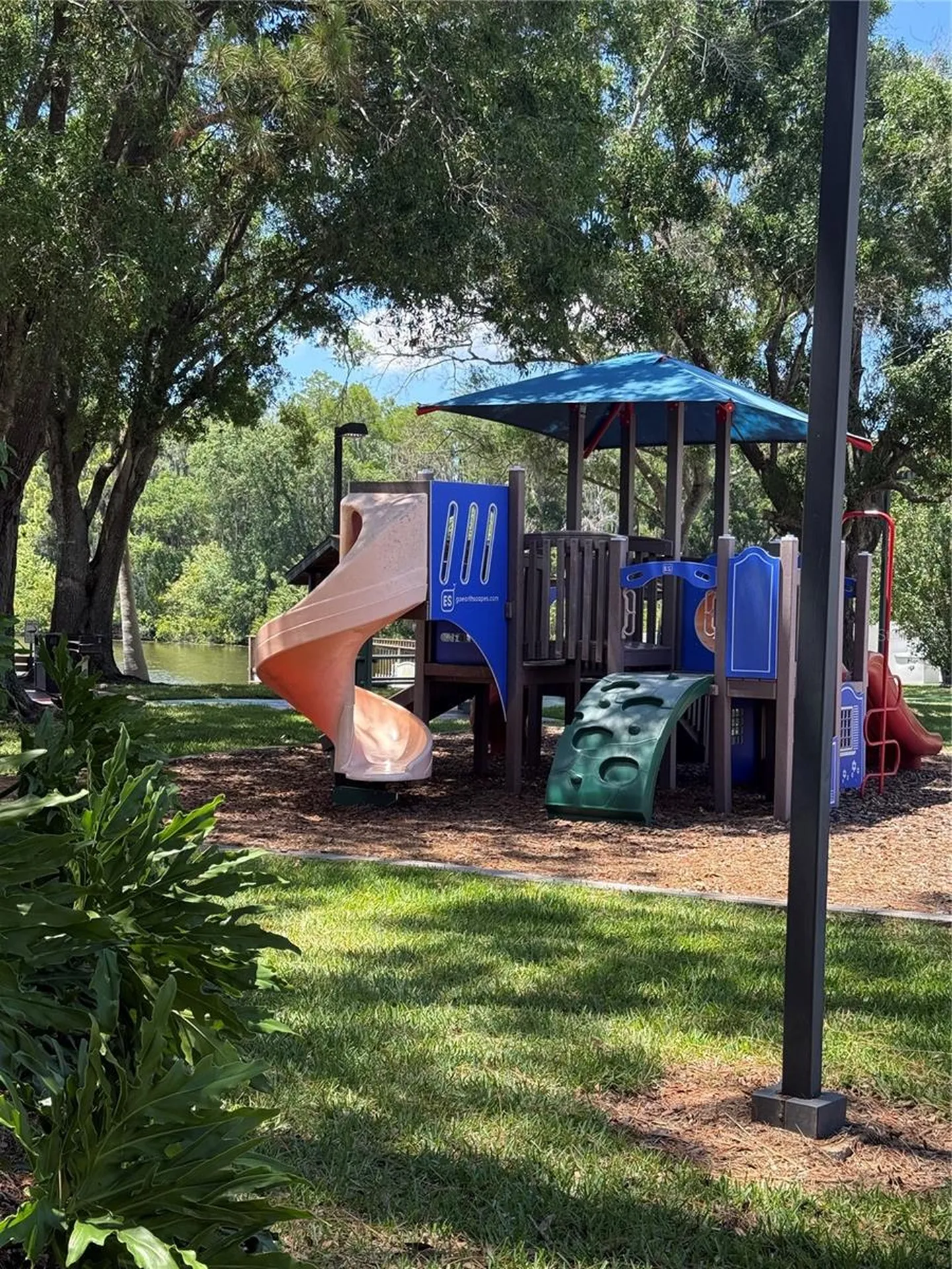 133 Sabal Court Oldsmar FL 34677