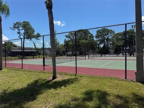 133 Sabal Court Oldsmar FL 34677