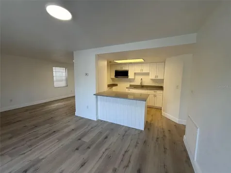 133 Sabal Court Oldsmar FL 34677