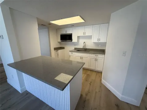 133 Sabal Court Oldsmar FL 34677