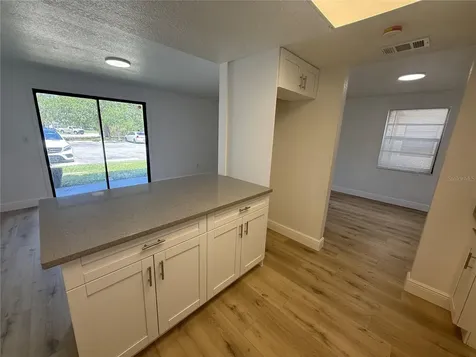 133 Sabal Court Oldsmar FL 34677