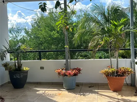 00 Albacora Vega Alta PR 00692