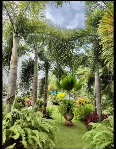 00 Albacora Vega Alta PR 00692